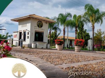 place photo 28