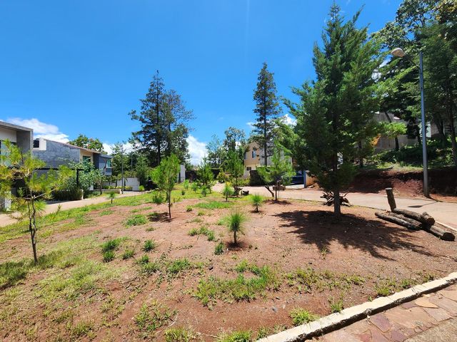 place photo 37