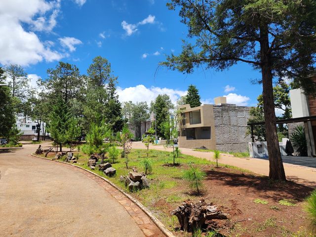 place photo 41