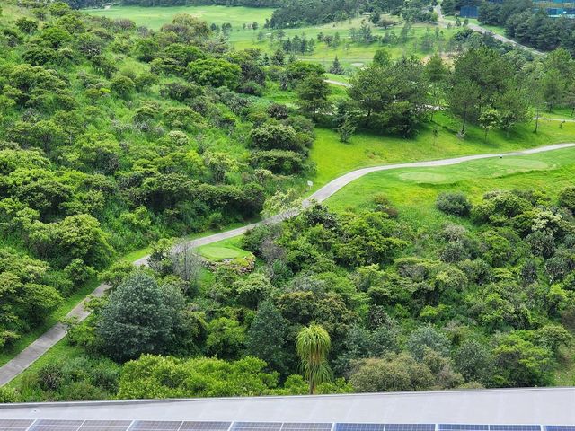 place photo 73