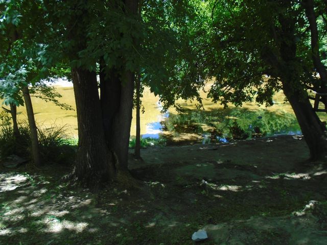 place photo 32