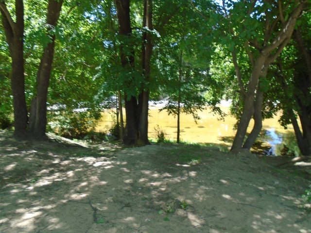 place photo 31