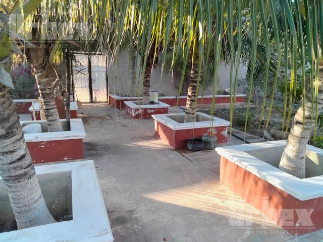 place photo 13