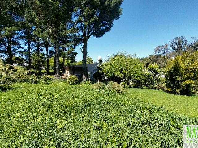 place photo 31
