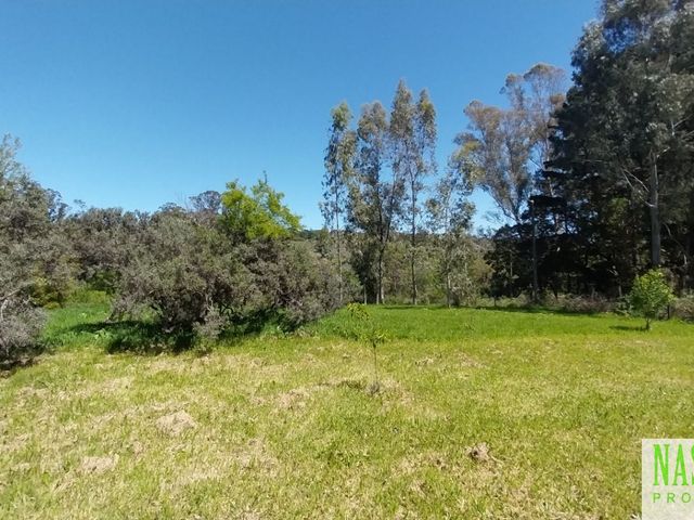 place photo 29