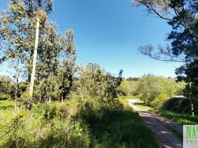 place photo 28