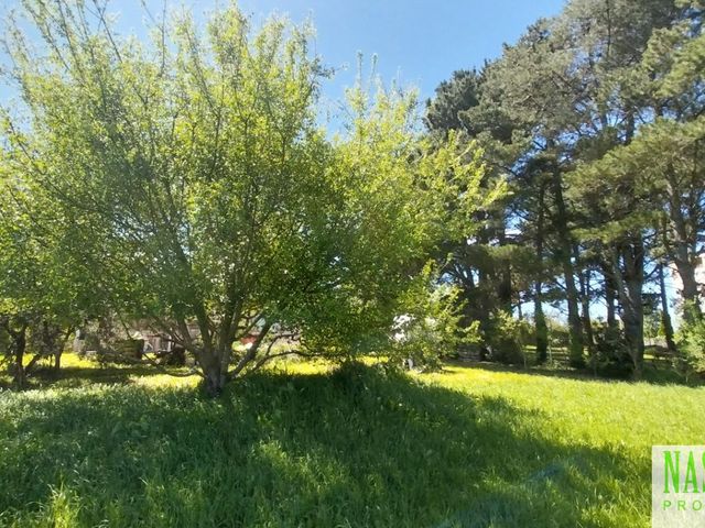 place photo 33