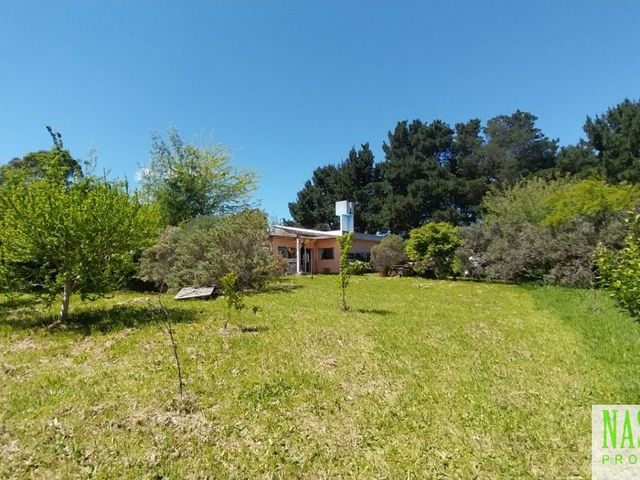 place photo 39