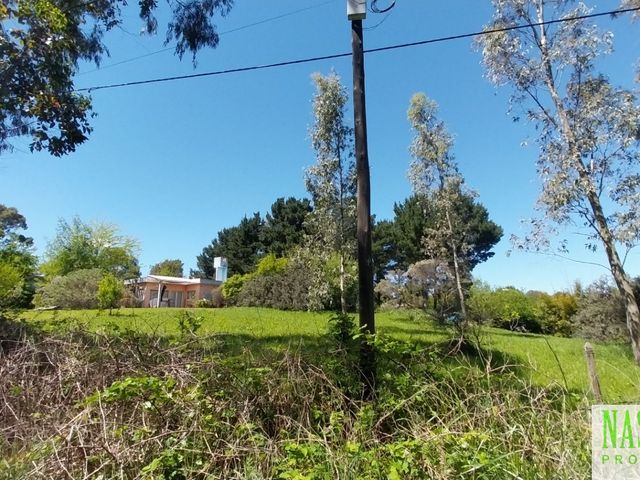 place photo 27