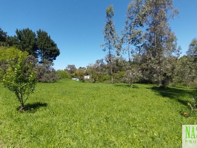 place photo 38