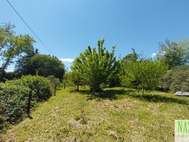 place photo 40