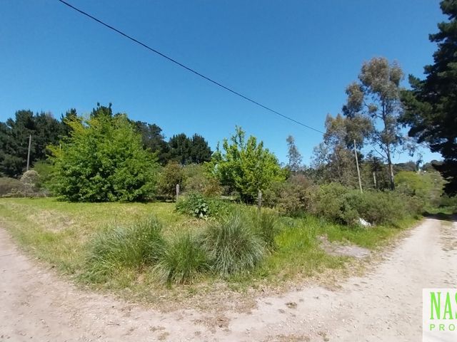 place photo 24