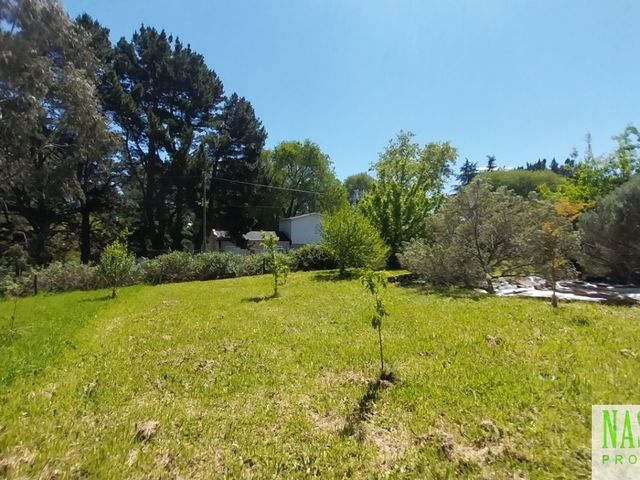 place photo 35