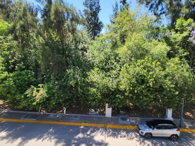place photo 42