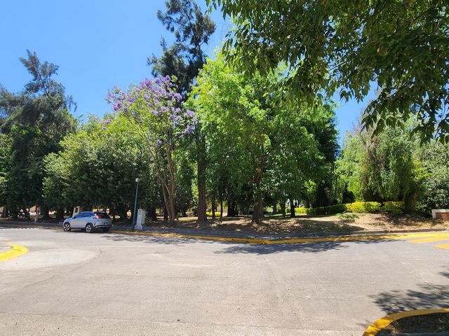 place photo 41