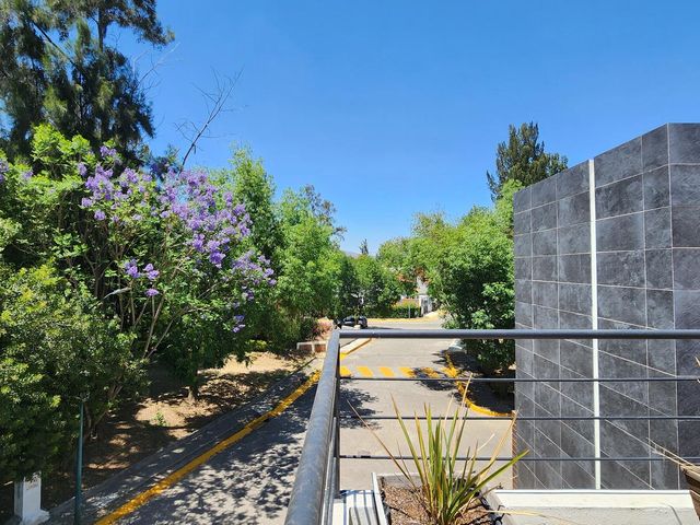 place photo 43