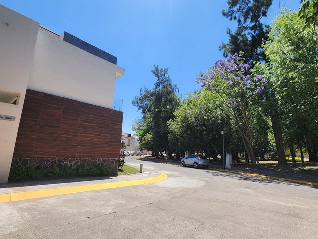 place photo 45