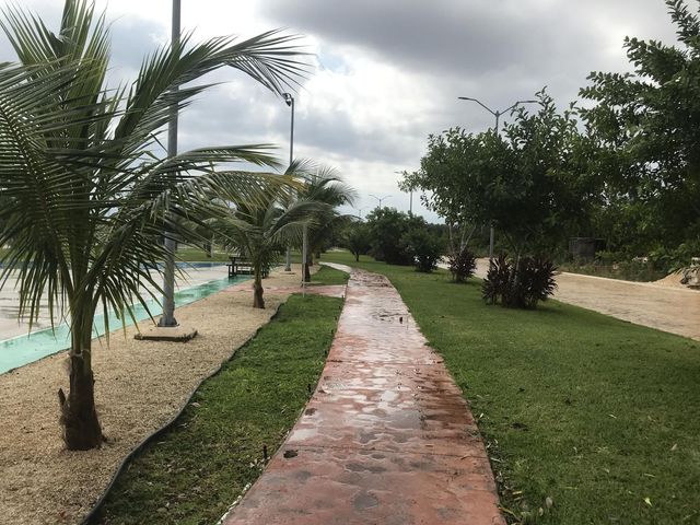 place photo 13