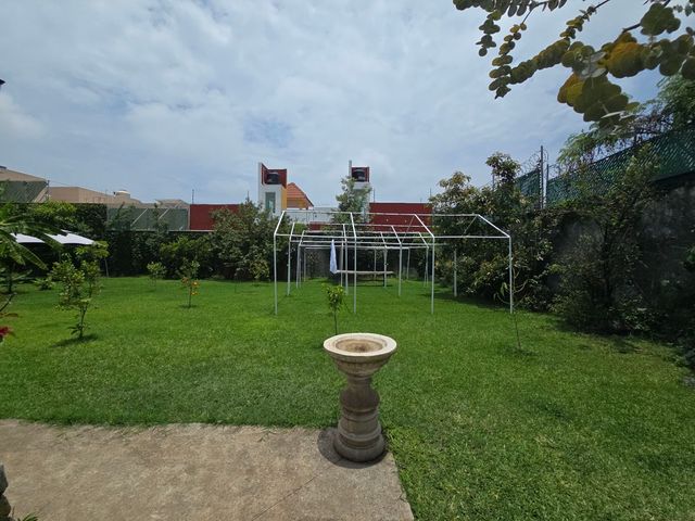 place photo 64