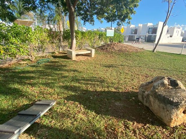 place photo 42