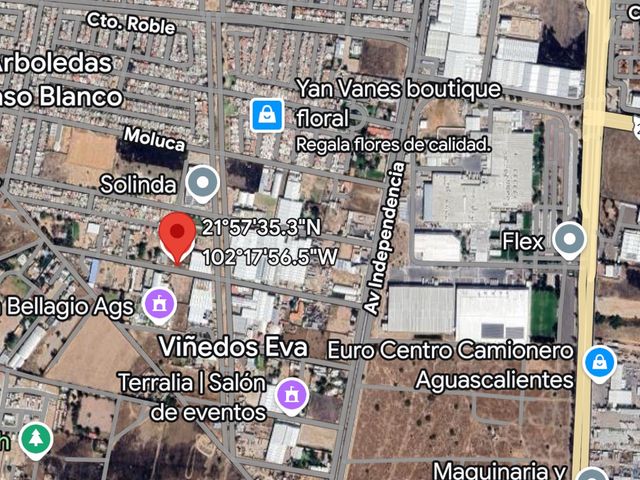 place photo 2