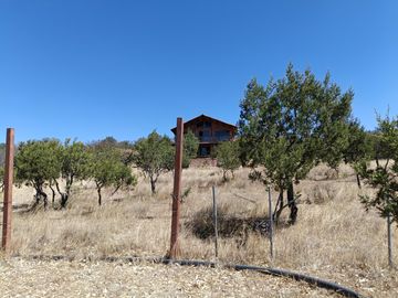 place photo 42