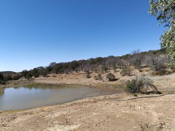 place photo 43