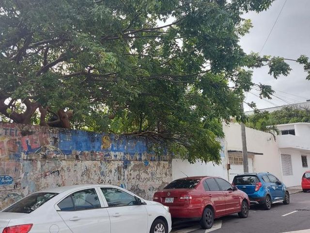 place photo 12