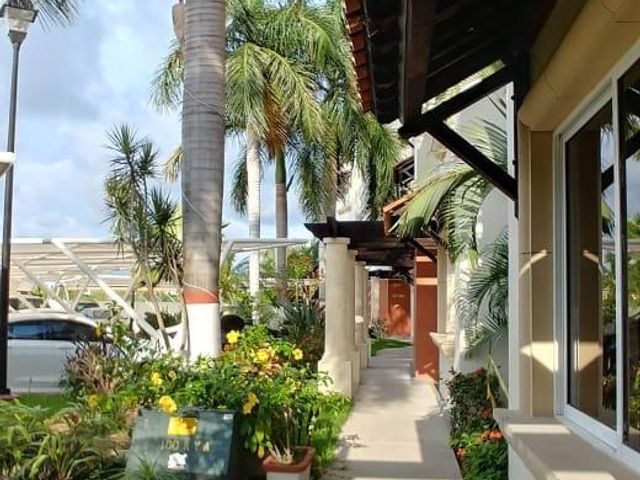 place photo 27