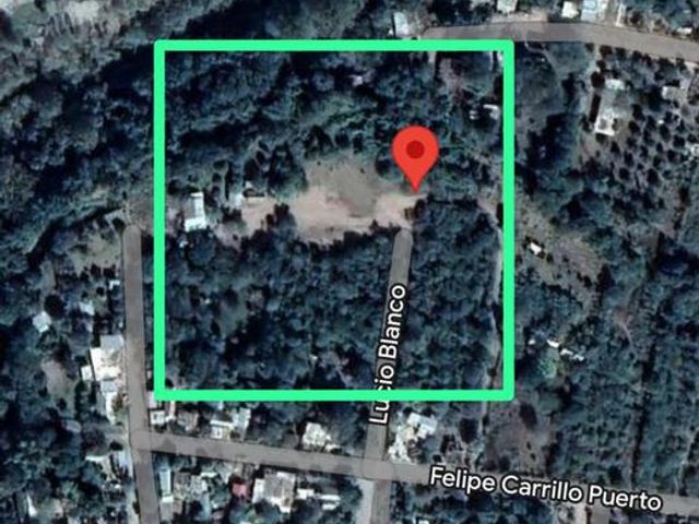 place photo 6