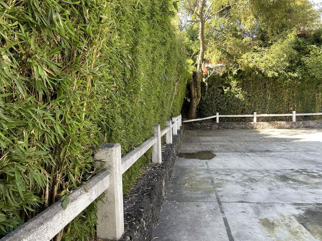 place photo 18