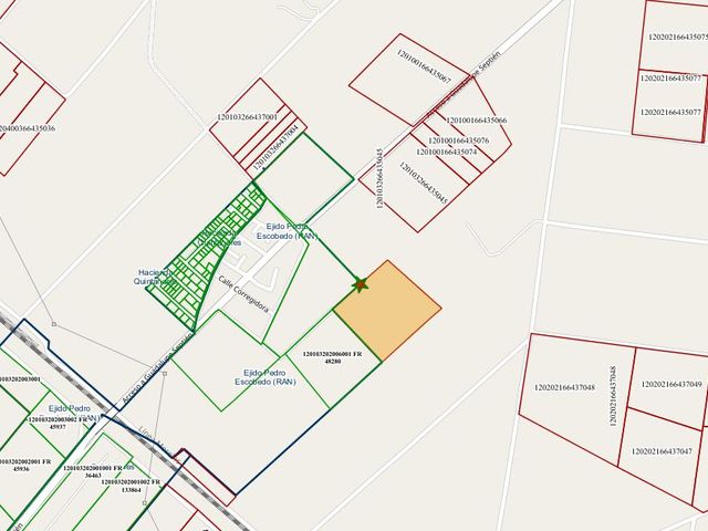 place photo 3