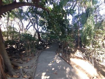 place photo 39