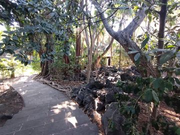 place photo 41