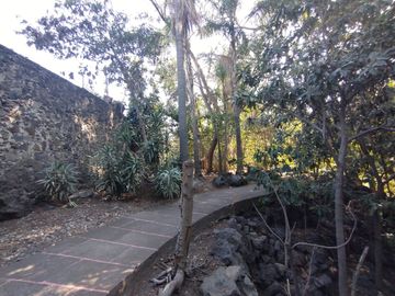 place photo 40