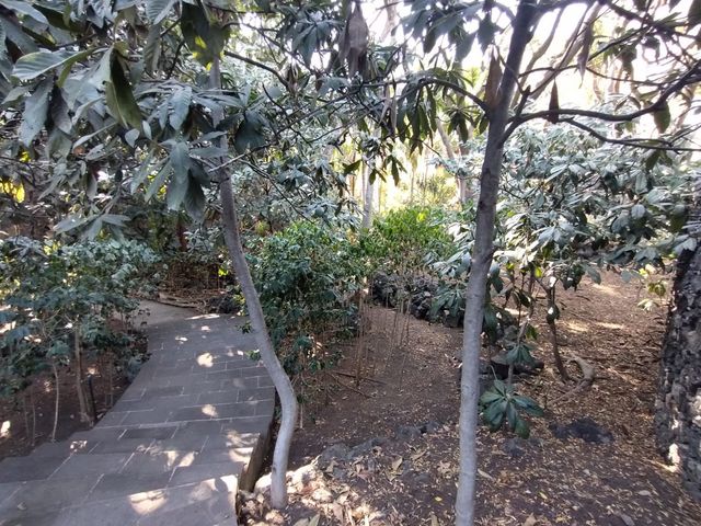 place photo 38
