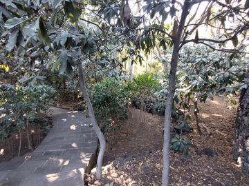 place photo 38