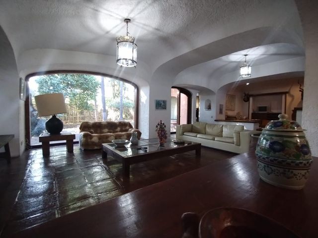 place photo 49