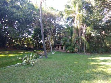 place photo 37