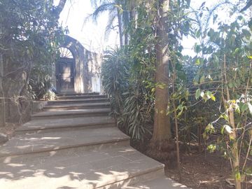 place photo 36
