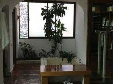 place photo 82