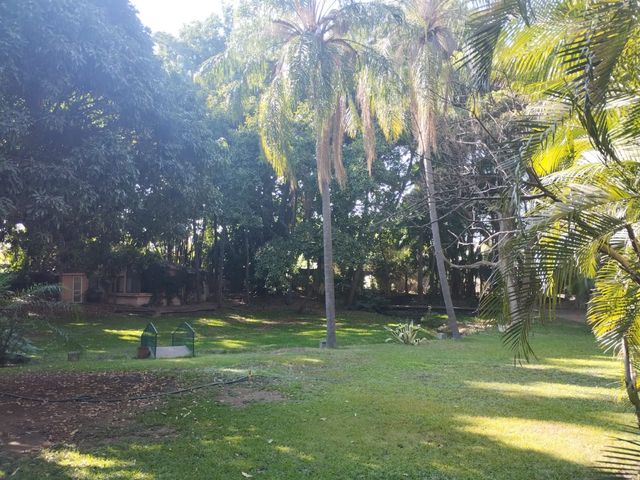 place photo 35
