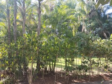 place photo 42