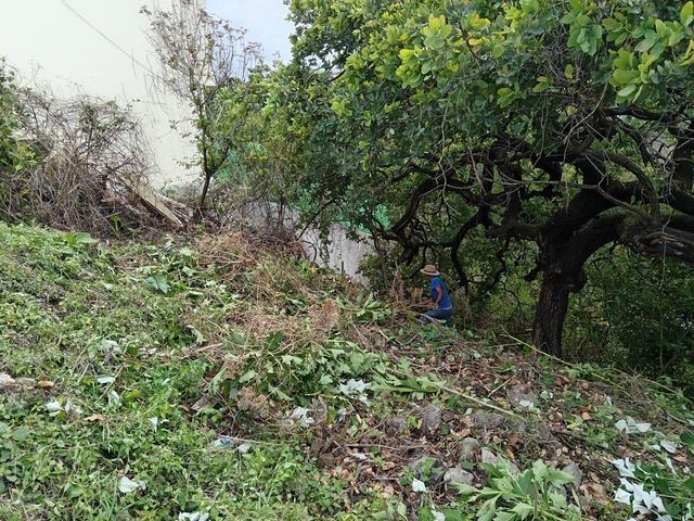place photo 10