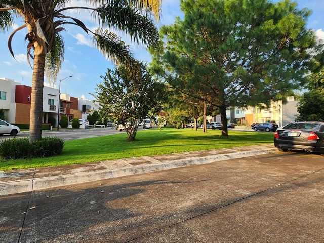 place photo 40