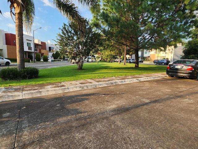 place photo 38