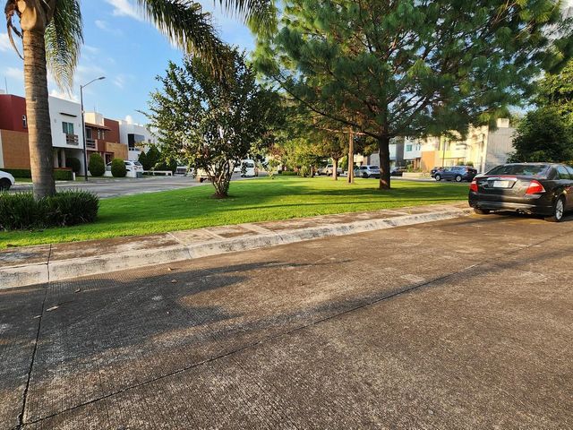 place photo 37
