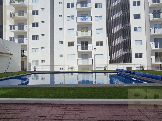 place photo 25