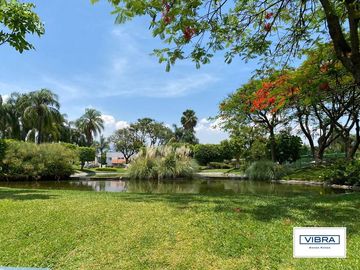 place photo 48