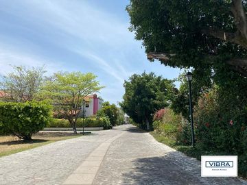 place photo 50